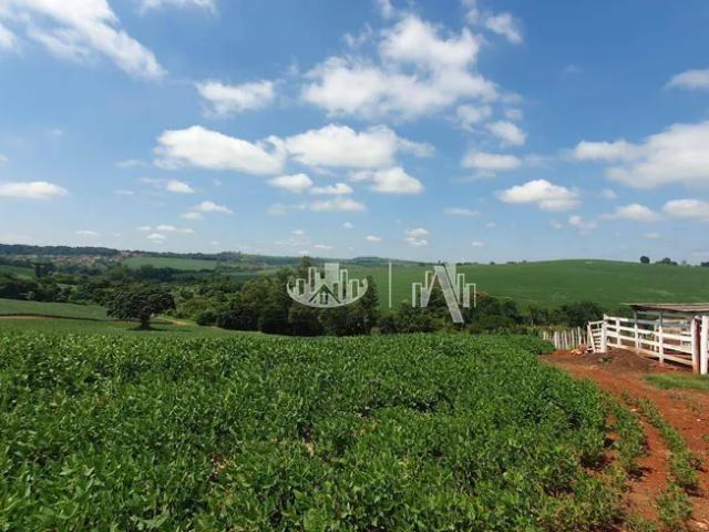 Fazenda venda em Bratislava, Cambé