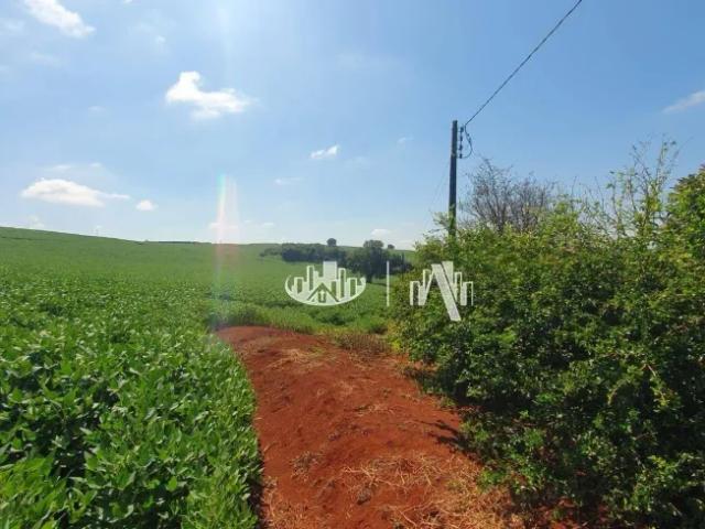 Fazenda venda em Região Geográfica Imediata de Londrina, Cambé
