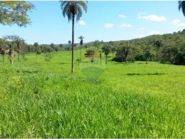 Fazenda venda em Região Geográfica Imediata de Luziânia, Região Integrada de Desenvolvimento do Distrito Federal e Entorno