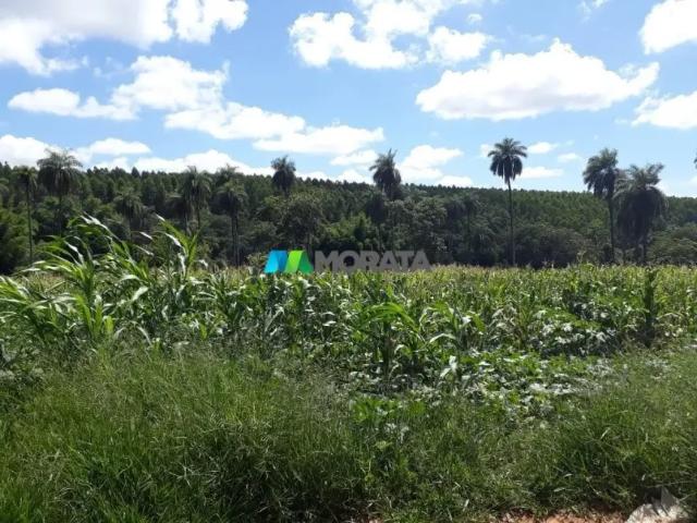 Fazenda venda em Região Geográfica Imediata de Abaeté, Biquinhas