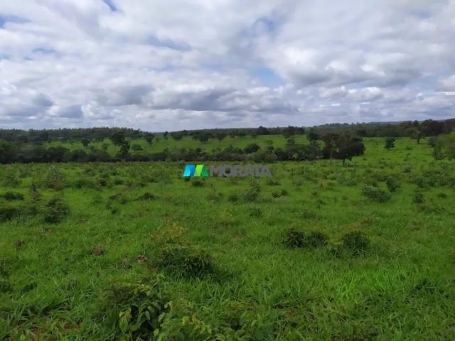 Fazenda venda em Região Geográfica Imediata de Abaeté, Biquinhas