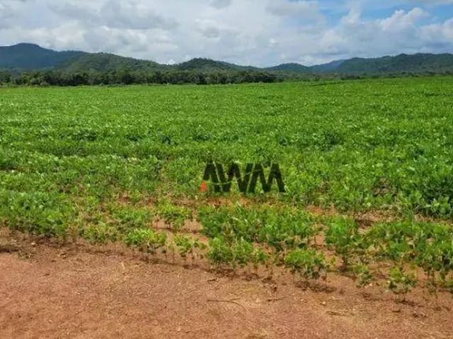 Fazenda venda em Região Geográfica Imediata de Porto Nacional, Silvanópolis