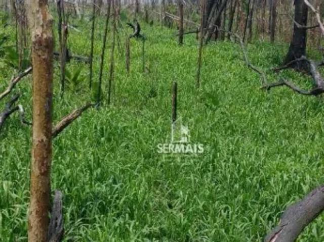 Fazenda venda em Região Geográfica Imediata de Porto Velho, Porto Velho