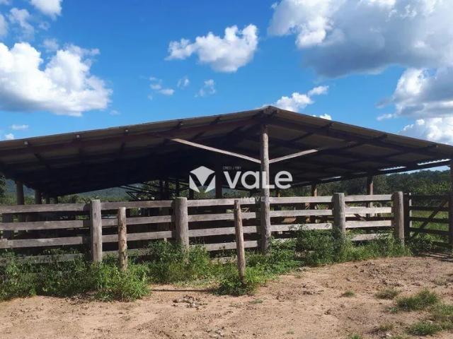 Fazenda venda em Região Geográfica Imediata de Palmas, Palmas