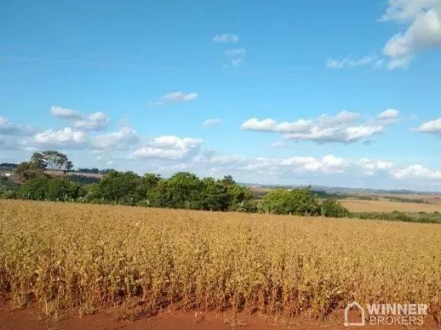 Fazenda venda em Região Geográfica Imediata de Toledo, Assis Chateaubriand