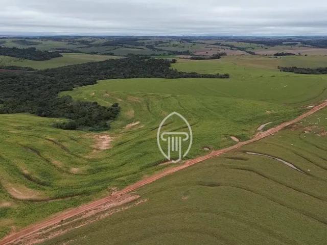 Fazenda venda em Região Geográfica Imediata de Campo Mourão, Moreira Sales