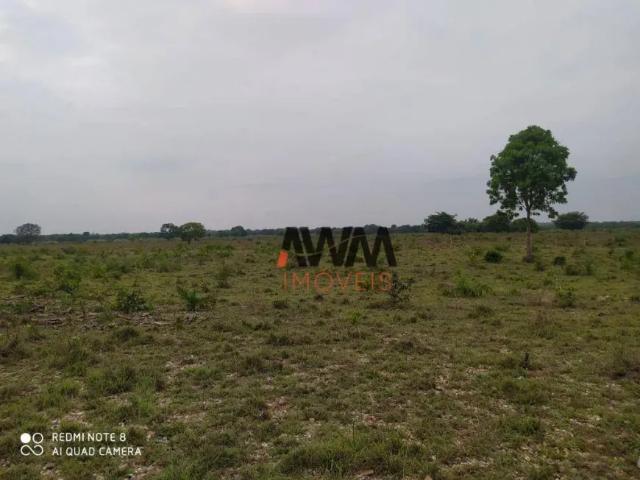 Fazenda venda em Região Geográfica Imediata de Paraíso do Tocantins, Cristalândia