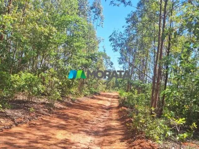 Fazenda venda em Região Geográfica Imediata de Curvelo, Corinto