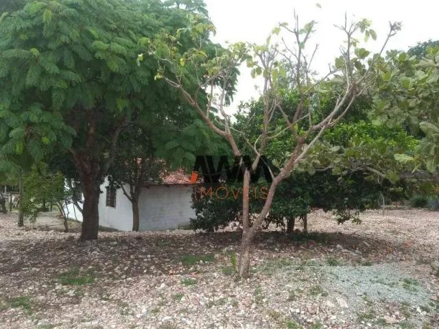Fazenda venda em Região Geográfica Imediata de Goiás - Itapuranga, Goiás