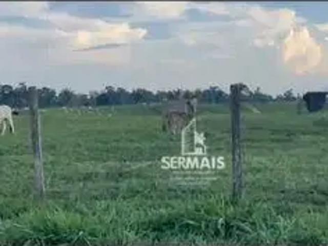 Fazenda venda em Sena Madureira, Região Norte