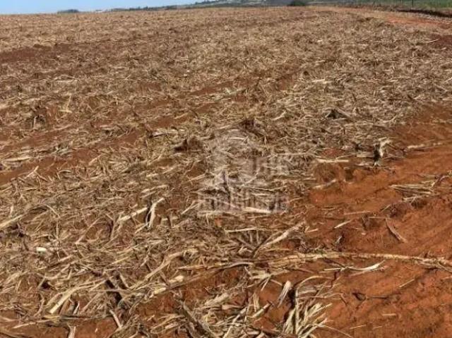 Fazenda venda em Região Imediata de Ribeirão Preto, Região Metropolitana de Ribeirão Preto