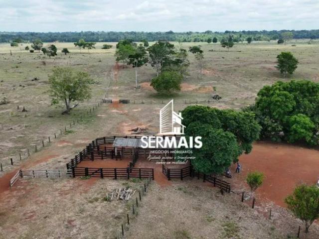 Fazenda venda em Região Geográfica Imediata de Ji-Paraná, Costa Marques