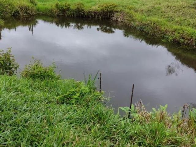Fazenda venda em Região Geográfica Imediata de Ipatinga, Antônio Dias