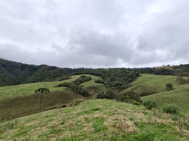 Fazenda venda em Região Geográfica Imediata de Lages, Bom Retiro