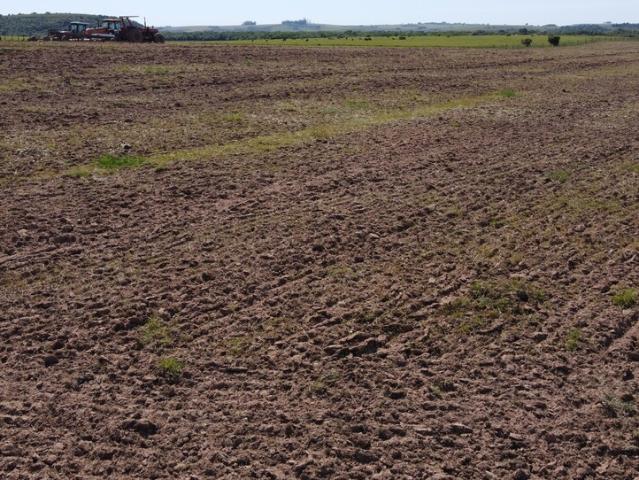 Fazenda venda em Região Geográfica Imediata de São Gabriel - Caçapava do Sul, Cacapava do Sul