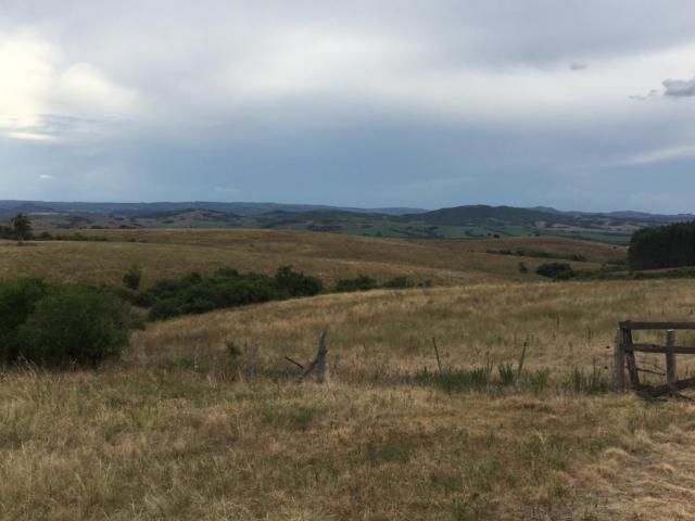Fazenda venda em Região Geográfica Imediata de São Gabriel - Caçapava do Sul, Cacapava do Sul