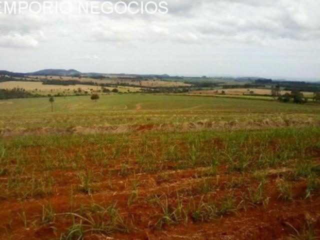Sítio e chácara venda em Região Imediata de Ribeirão Preto, Região Metropolitana de Ribeirão Preto