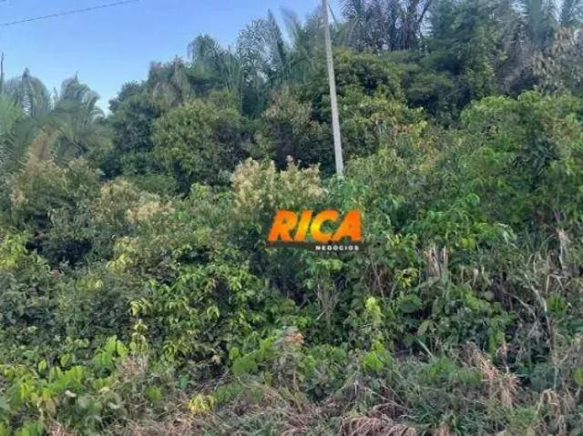Fazenda venda em Região Geográfica Imediata de Porto Velho, Candeias do Jamari