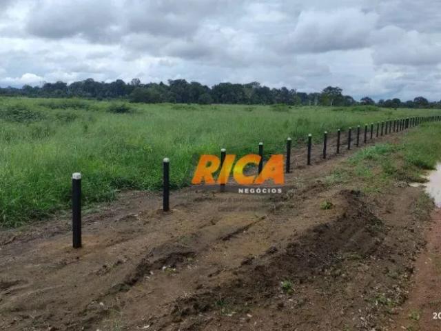 Fazenda venda em Região Geográfica Imediata de Porto Velho, Candeias do Jamari