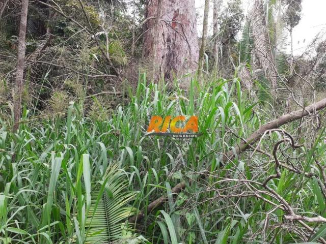 Fazenda venda em Cujubim, Região Norte