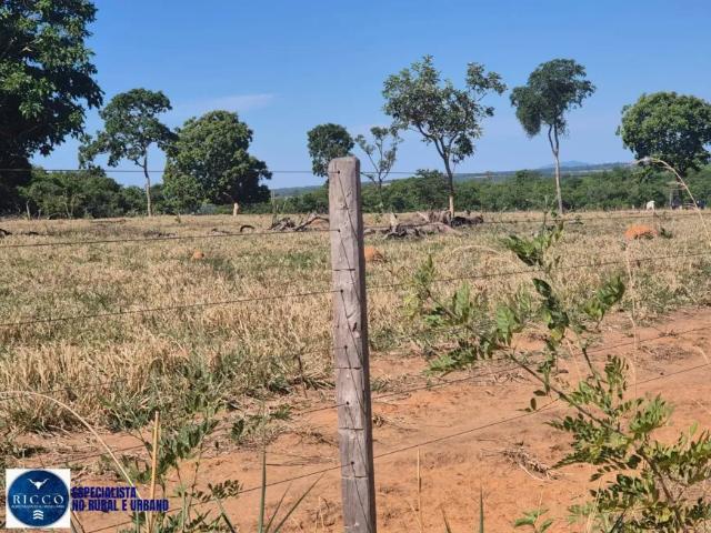 Fazenda venda em Região Geográfica Imediata de Iporá, Bom Jardim de Goiás