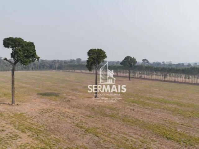 Fazenda venda em Região Geográfica Imediata de Ji-Paraná, Costa Marques