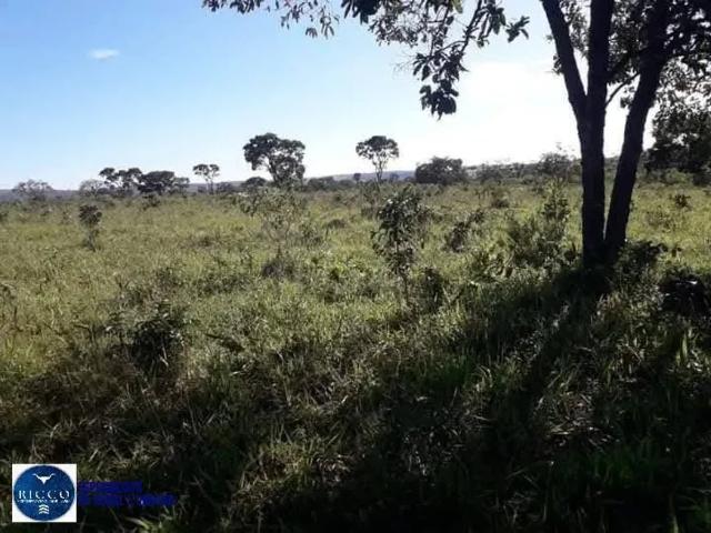 Fazenda venda em Região Geográfica Imediata de Catalão, Ipameri
