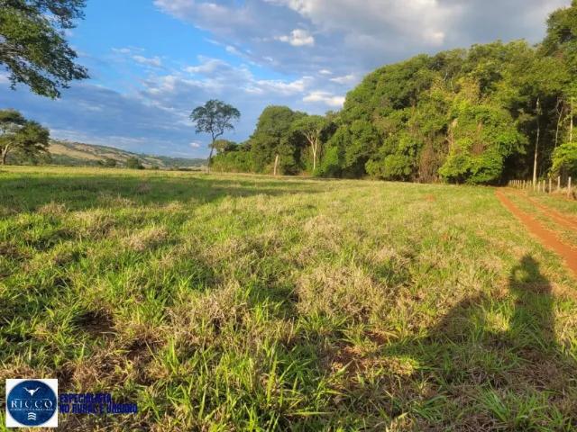 Fazenda venda em Região Geográfica Imediata de Inhumas - Itaberaí - Anicuns, Itaguari