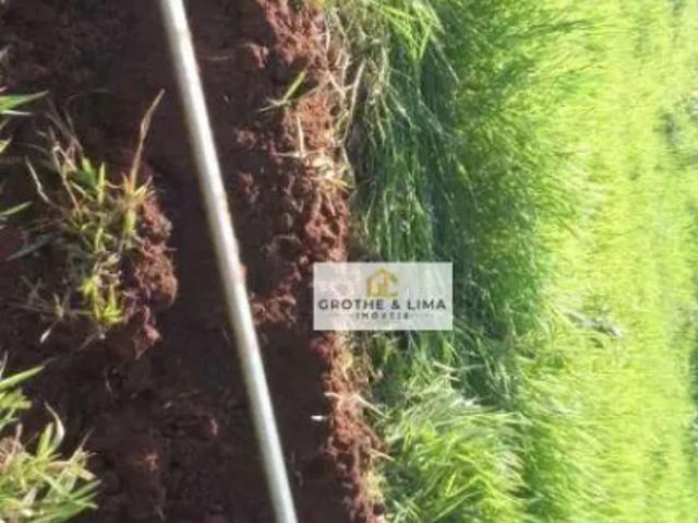 Fazenda venda em Região Geográfica Imediata de Três Lagoas, Angélica