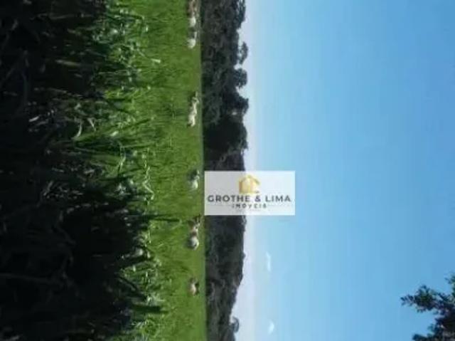 Fazenda venda em Região Geográfica Imediata de Três Lagoas, Angélica