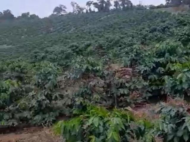 Sítio e chácara venda em Região Geográfica Imediata de Passos, São João Batista do Glória