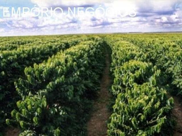 Sítio e chácara venda em Monte Santo de Minas, Região Geográfica Intermediária de Varginha
