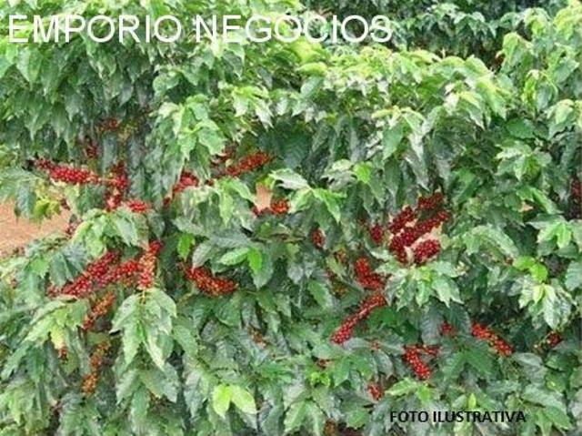 Sítio e chácara venda em Guaxupé, Região Geográfica Intermediária de Varginha
