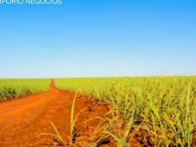 Sítio e chácara venda em Região Geográfica Imediata de Formiga, Bambuí