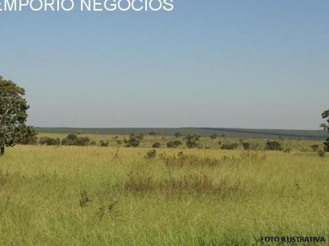 Sítio e chácara venda em Região Imediata de Ribeirão Preto, Região Metropolitana de Ribeirão Preto