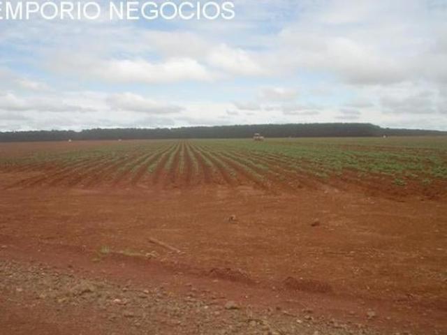 Sítio e chácara venda em Região Geográfica Imediata de São Sebastião do Paraíso, Jacuí