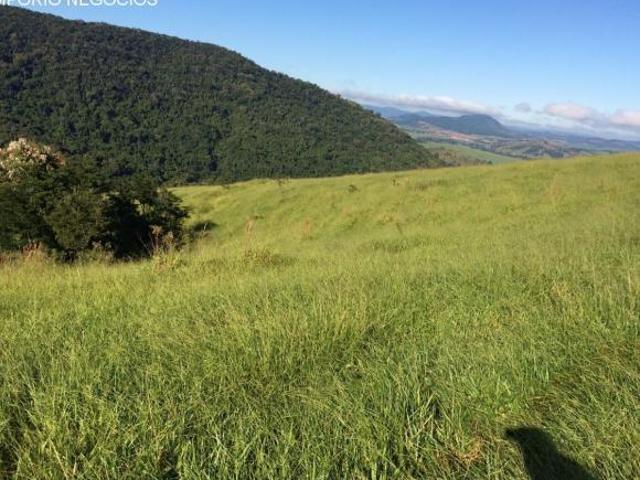 Sítio e chácara venda em Tapiratiba, Região Geográfica Intermediária de Campinas