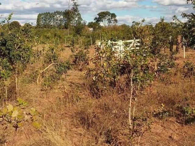 Sítio e chácara venda em Região Geográfica Imediata de Pirapora, Buritizeiro