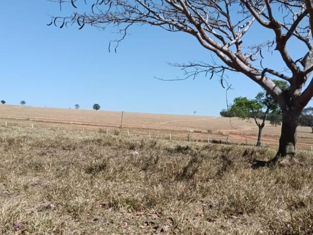 Fazenda venda em Região Geográfica Imediata de Anápolis, Goianápolis