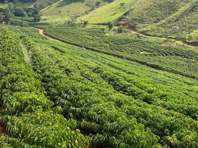 Fazenda venda em Região Geográfica Imediata de Manhuaçu, Ipanema