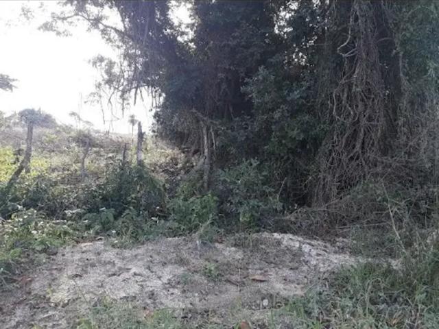Fazenda venda em Região Geográfica Imediata do Rio de Janeiro, Região Metropolitana do Rio de Janeiro