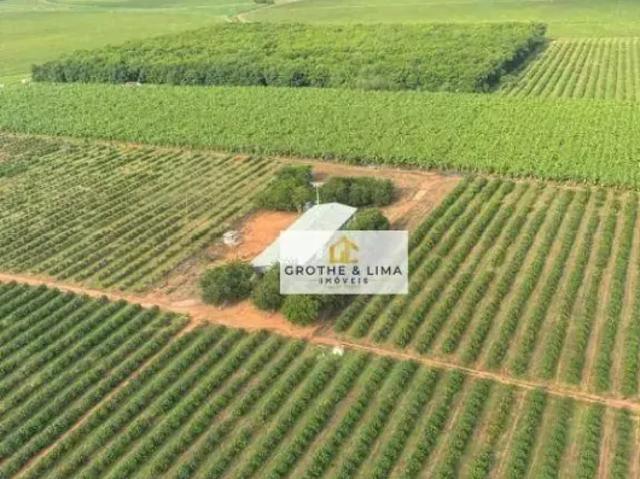 Fazenda venda em Região Geográfica Imediata de Janaúba, Manga