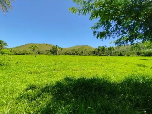 Fazenda venda em Região Geográfica Imediata de Flores de Goiás, Cavalcante