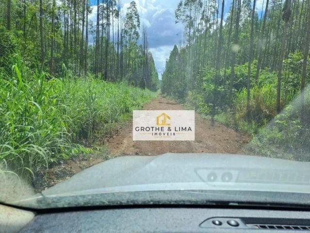 Fazenda venda em Região Geográfica Imediata de Araguaína, Araguaína