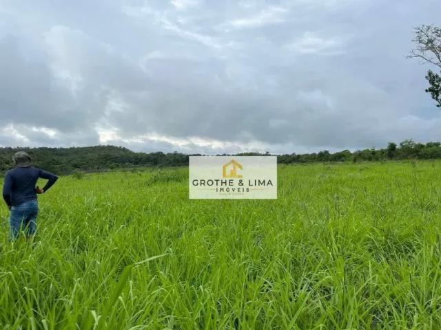 Fazenda venda em Região Geográfica Imediata de Guaraí, Recursolândia