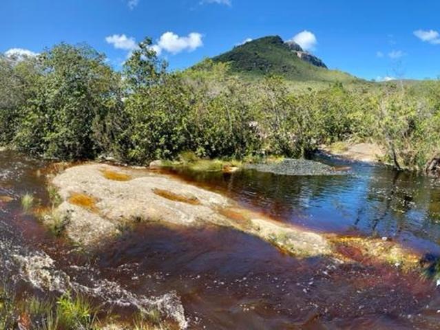 Fazenda venda em Região Geográfica Imediata de Seabra, Palmeiras