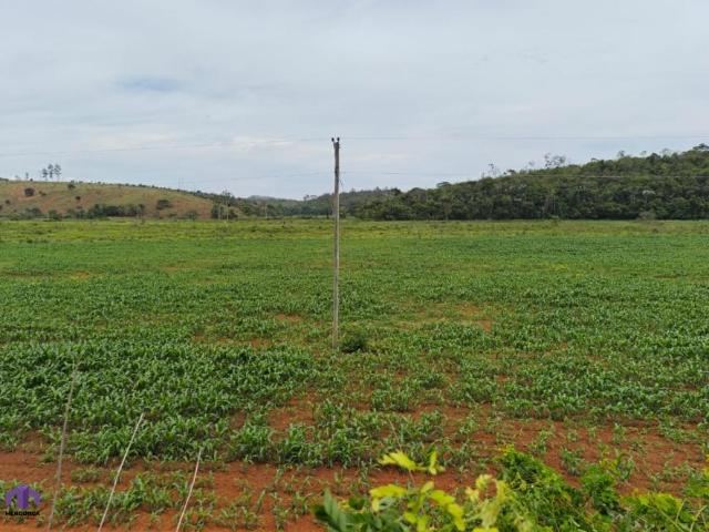 Fazenda venda em Região Geográfica Imediata de Ipatinga, Pingo d'Água