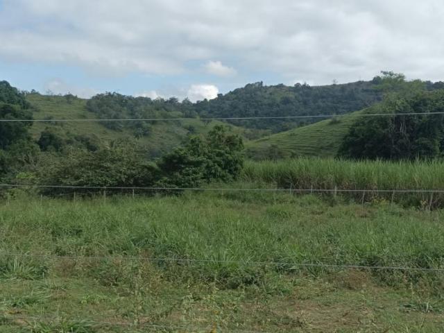 Fazenda venda em Região Geográfica Imediata de Ipatinga, Pingo d'Água