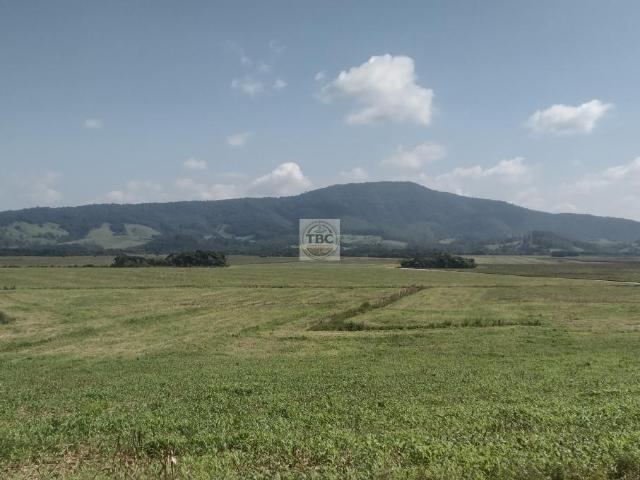 Fazenda venda em Pouso Alegre, Região Geográfica Intermediária de Pouso Alegre