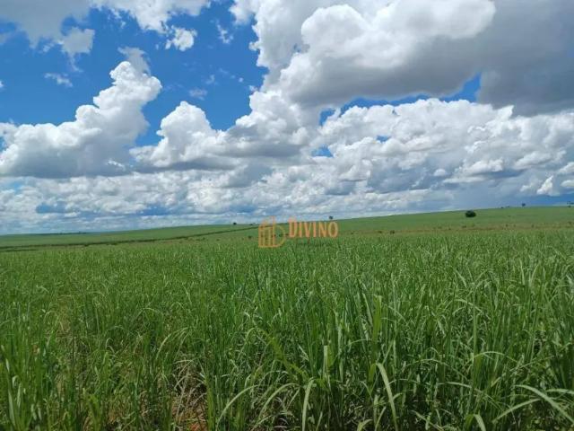 Fazenda venda em Região Imediata de Adamantina-Lucélia, Pacaembu